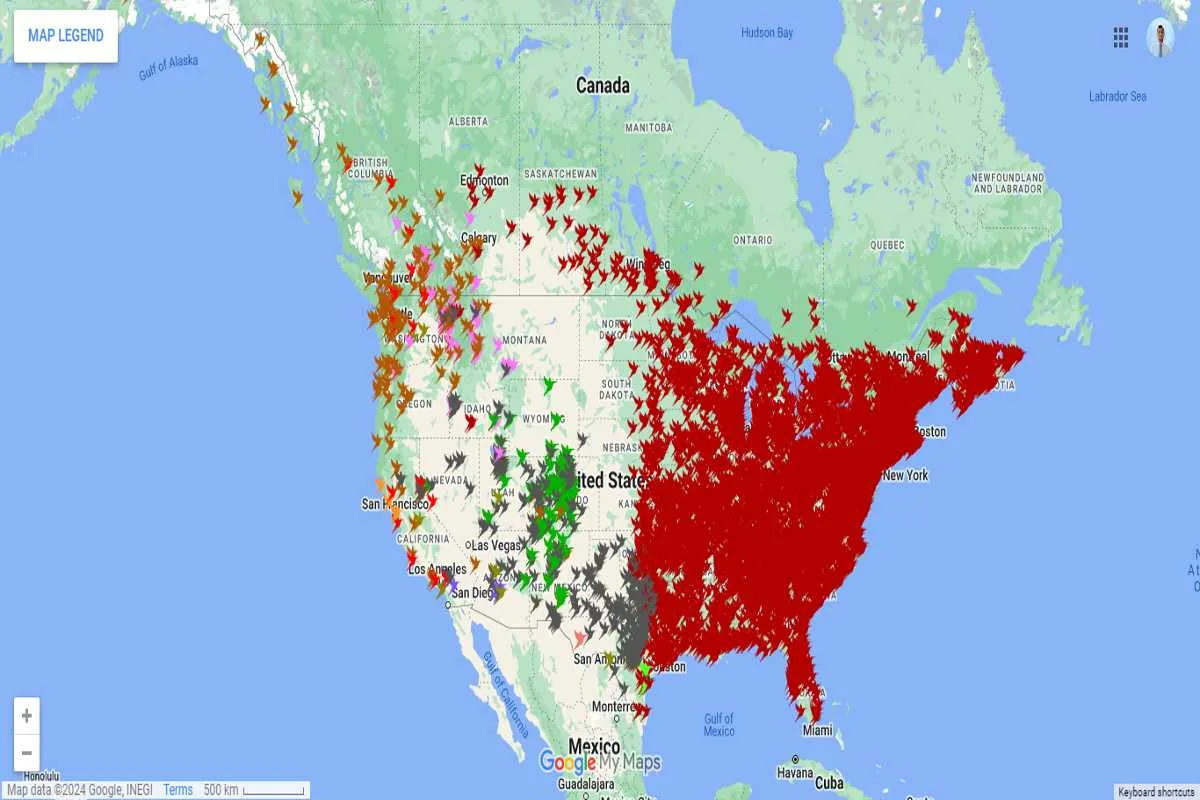 Hummingbird Migration Map 2024