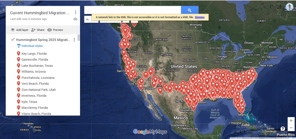 Hummingbird Migration Map USA 2025 MAP