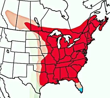 Tracking Pattern of Ruby Throated Hummingbird Migration 10 Ruby Throated Hummingbird Migration Map
