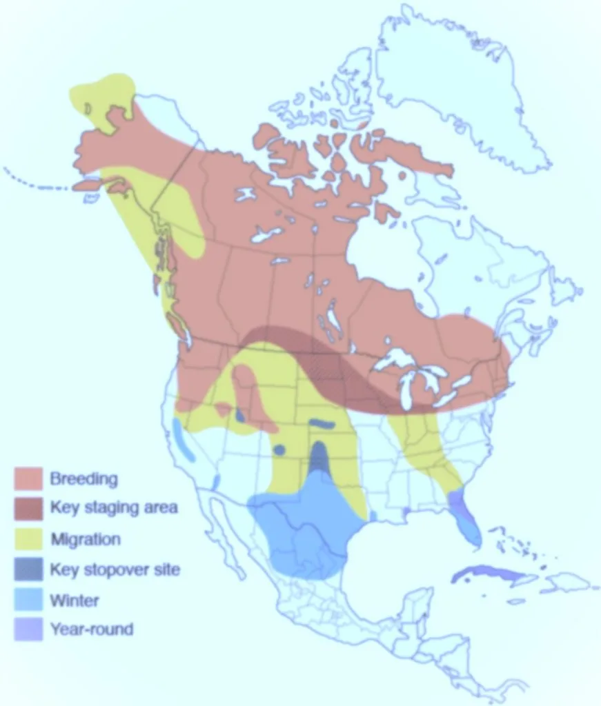 sandhill crane migration map