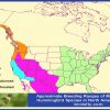 2026 hummingbird migration map in usa time