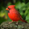 How Many States Have The Cardinal as Their State Bird