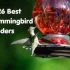 2026 Best Hummingbird Feeders: Mouse Tested and Ranked 13 2026 Best Hummingbird Feeders