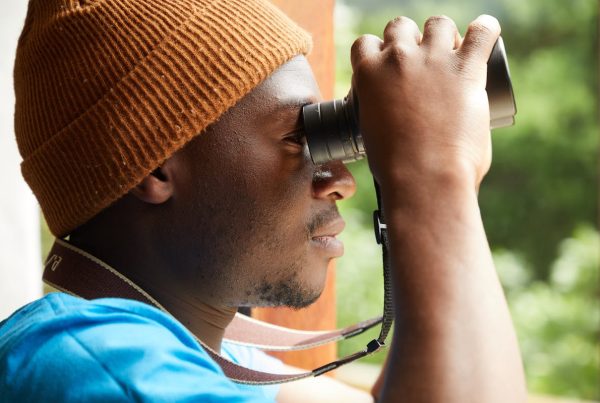 Best Binoculars for Bird Watching 2026: Every Budget Tested & Ranked 6 Best Binoculars for Bird Watching 2026 Every Budget Tested & Ranked
