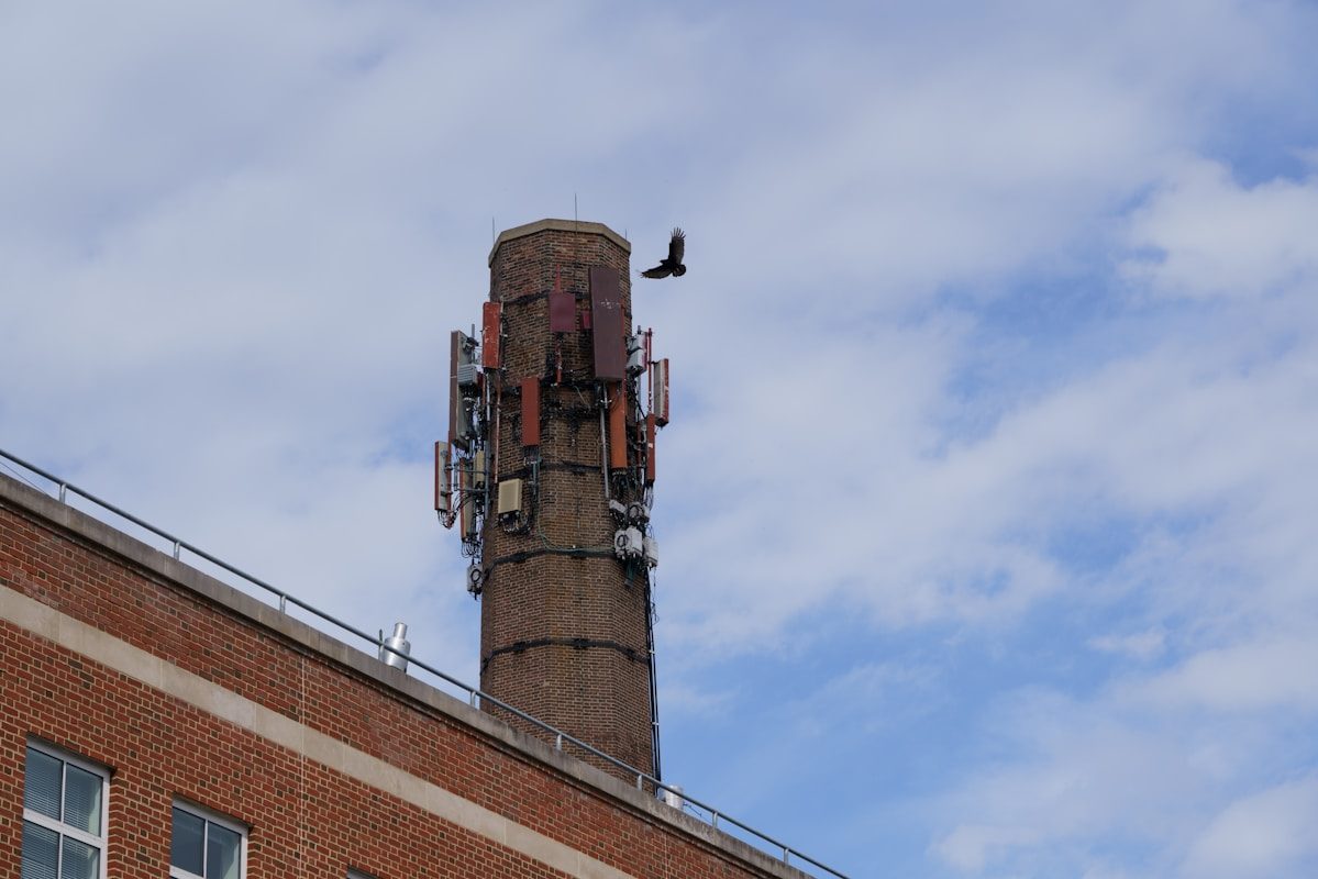 Chimney Swift: The Bird That Never Lands 1 a tall brick building with a bird on top of it